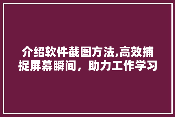 介绍软件截图方法,高效捕捉屏幕瞬间，助力工作学习