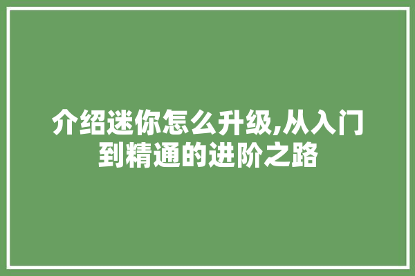 介绍迷你怎么升级,从入门到精通的进阶之路