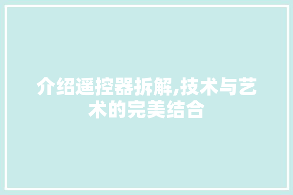 介绍遥控器拆解,技术与艺术的完美结合
