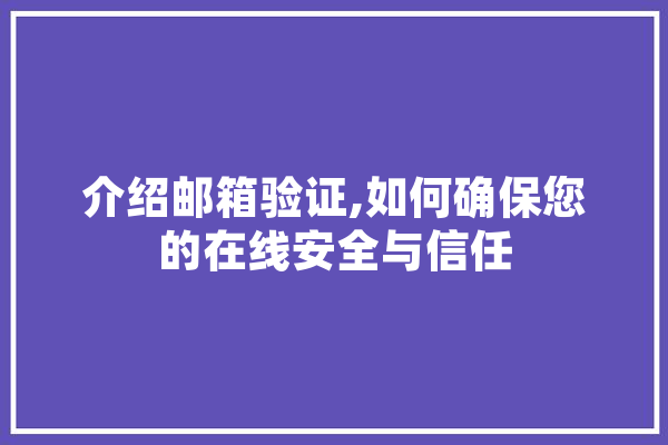 介绍邮箱验证,如何确保您的在线安全与信任