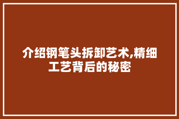 介绍钢笔头拆卸艺术,精细工艺背后的秘密