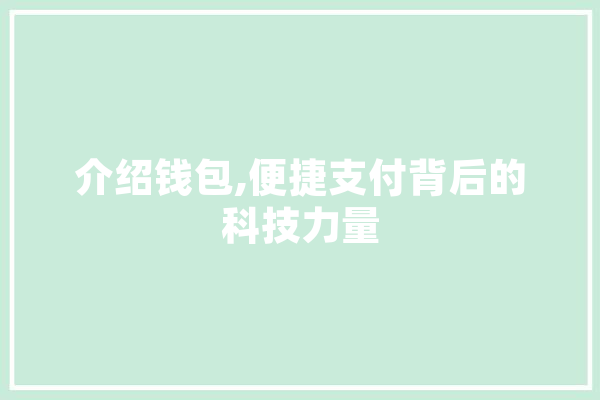 介绍钱包,便捷支付背后的科技力量