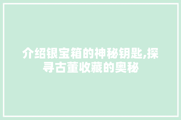 介绍银宝箱的神秘钥匙,探寻古董收藏的奥秘
