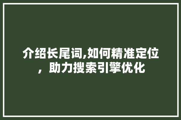 介绍长尾词,如何精准定位，助力搜索引擎优化 AI简讯