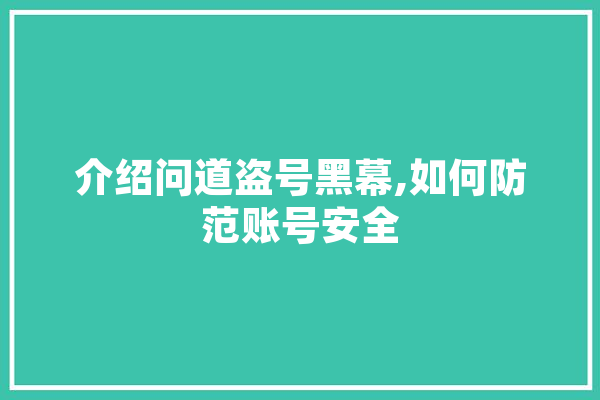 介绍问道盗号黑幕,如何防范账号安全