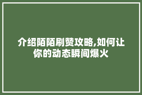介绍陌陌刷赞攻略,如何让你的动态瞬间爆火