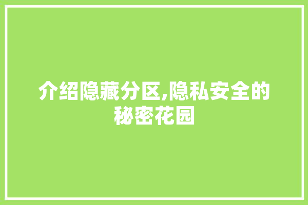 介绍隐藏分区,隐私安全的秘密花园