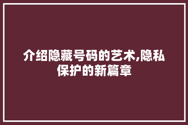 介绍隐藏号码的艺术,隐私保护的新篇章