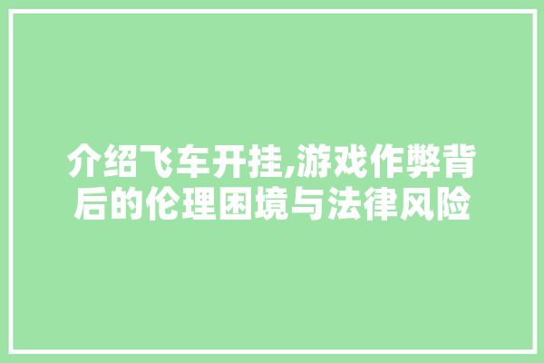 介绍飞车开挂,游戏作弊背后的伦理困境与法律风险