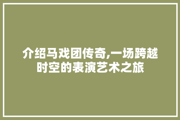 介绍马戏团传奇,一场跨越时空的表演艺术之旅 文字写作