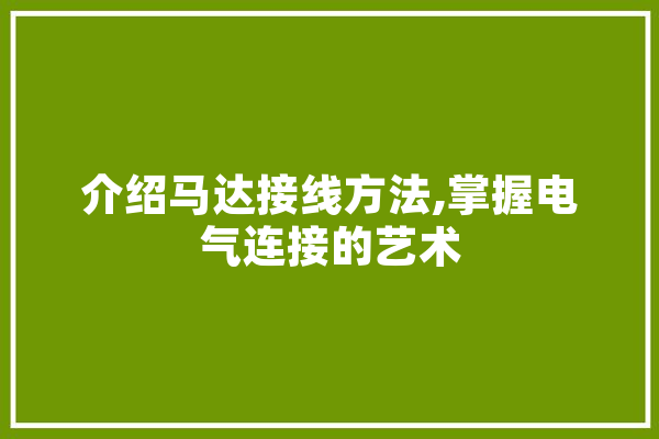 介绍马达接线方法,掌握电气连接的艺术