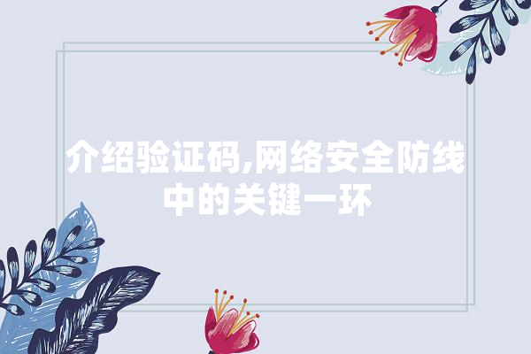 介绍验证码,网络安全防线中的关键一环