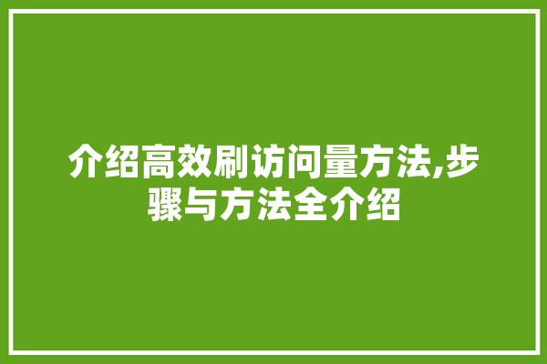 介绍高效刷访问量方法,步骤与方法全介绍 智能助手