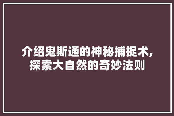 介绍鬼斯通的神秘捕捉术,探索大自然的奇妙法则