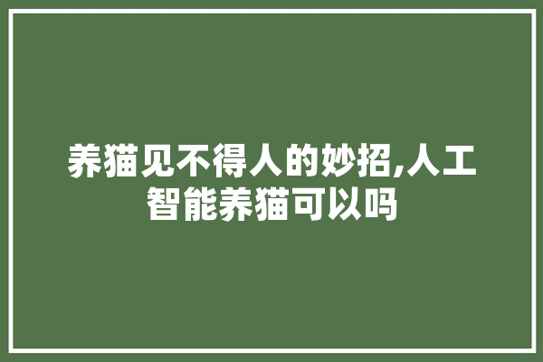 养猫见不得人的妙招,人工智能养猫可以吗 AI快讯