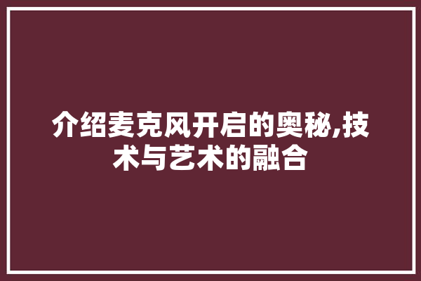 介绍麦克风开启的奥秘,技术与艺术的融合