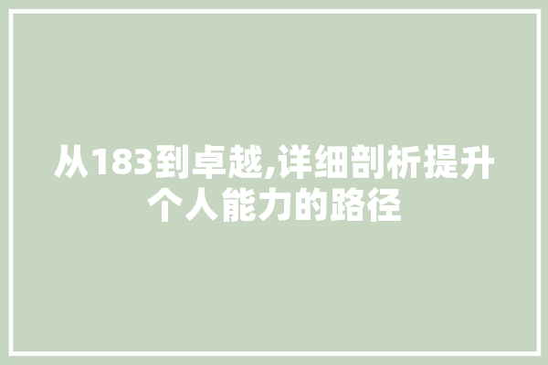 从183到卓越,详细剖析提升个人能力的路径