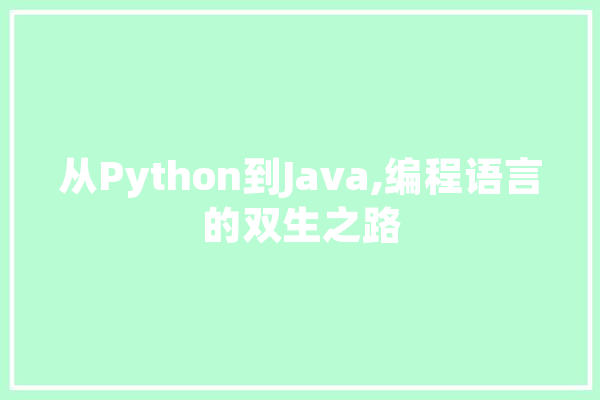 从Python到Java,编程语言的双生之路
