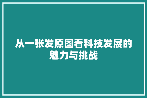 从一张发原图看科技发展的魅力与挑战 云服务