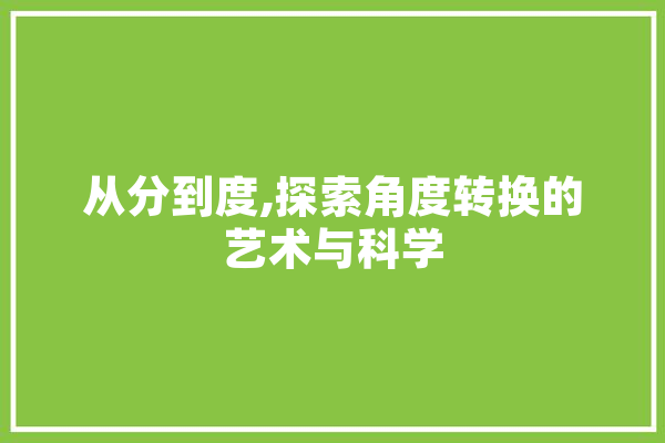 从分到度,探索角度转换的艺术与科学
