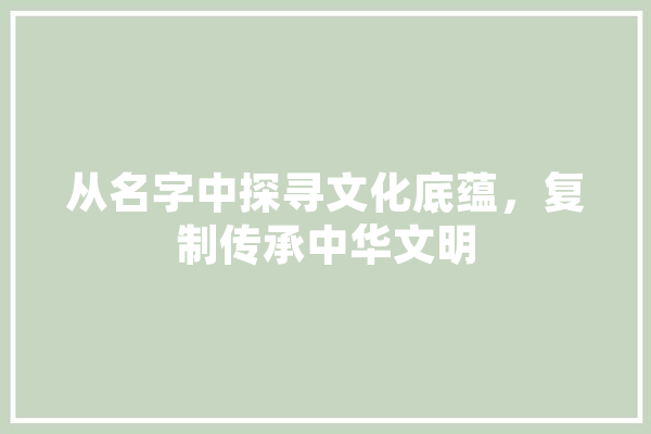 从名字中探寻文化底蕴，复制传承中华文明