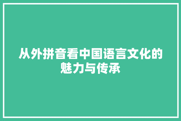 从外拼音看中国语言文化的魅力与传承