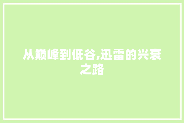 从巅峰到低谷,迅雷的兴衰之路