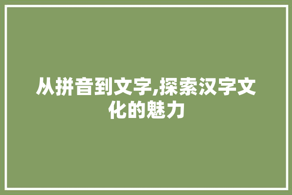 从拼音到文字,探索汉字文化的魅力 绘影字幕