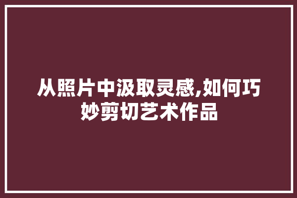 从照片中汲取灵感,如何巧妙剪切艺术作品