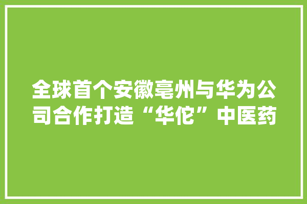 全球首个安徽亳州与华为公司合作打造“华佗”中医药大年夜模型_华佗_中医药