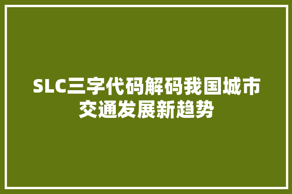 SLC三字代码解码我国城市交通发展新趋势