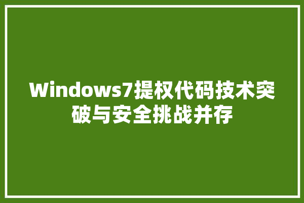 Windows7提权代码技术突破与安全挑战并存 文字写作