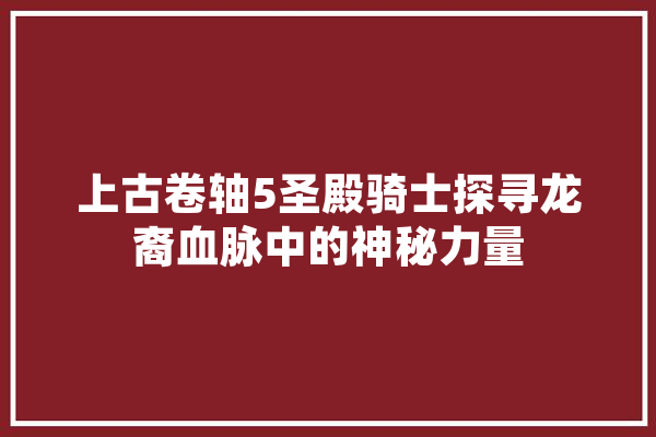 上古卷轴5圣殿骑士探寻龙裔血脉中的神秘力量 计算机