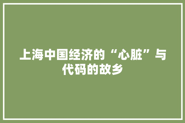 上海中国经济的“心脏”与代码的故乡