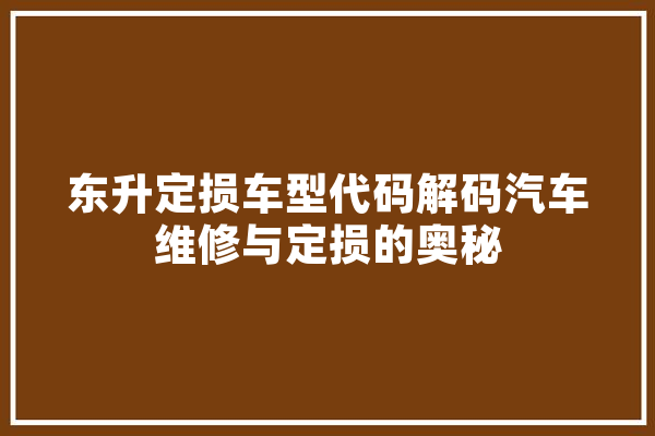 东升定损车型代码解码汽车维修与定损的奥秘