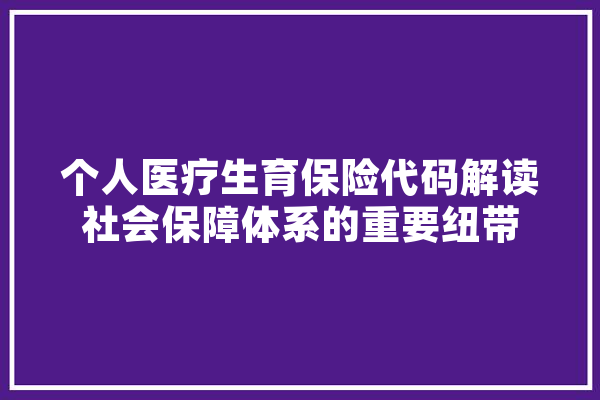 个人医疗生育保险代码解读社会保障体系的重要纽带