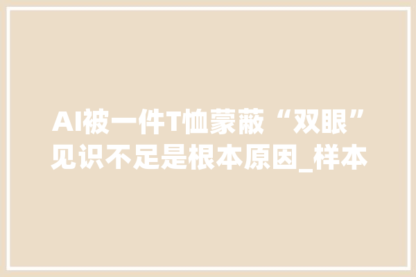 AI被一件T恤蒙蔽“双眼”见识不足是根本原因_样本_模子 科技快讯