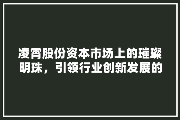 凌霄股份资本市场上的璀璨明珠，引领行业创新发展的领航者