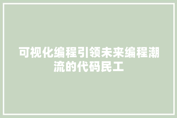可视化编程引领未来编程潮流的代码民工