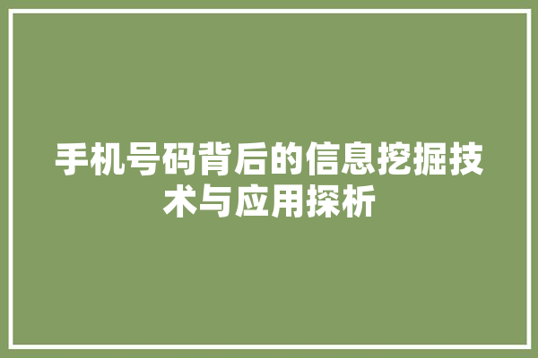 手机号码背后的信息挖掘技术与应用探析 云服务