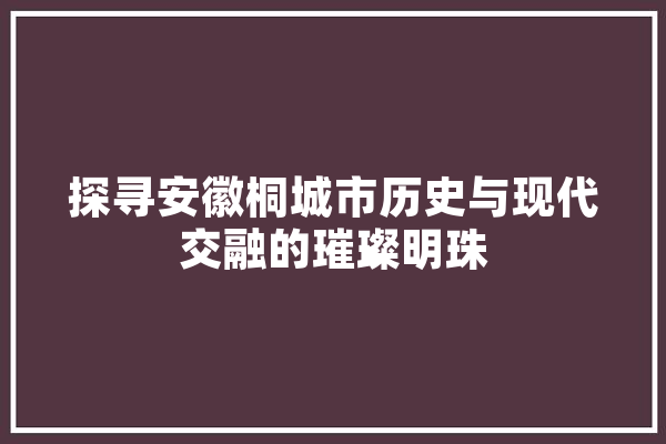 探寻安徽桐城市历史与现代交融的璀璨明珠