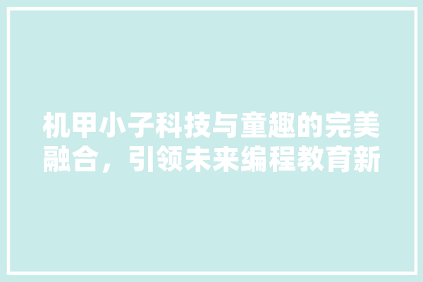 机甲小子科技与童趣的完美融合，引领未来编程教育新风尚