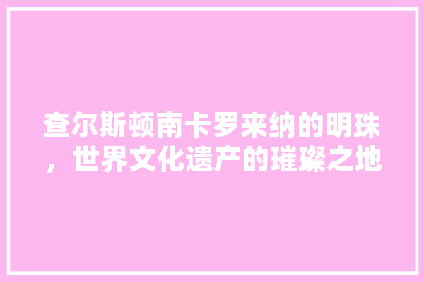 查尔斯顿南卡罗来纳的明珠，世界文化遗产的璀璨之地 智能助手