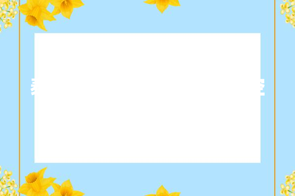 泰国机场三字代码解码航空枢纽的智慧之门