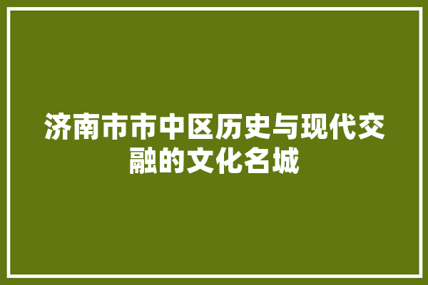 济南市市中区历史与现代交融的文化名城
