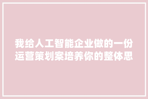 我给人工智能企业做的一份运营策划案培养你的整体思维_精准_客户 绘影字幕