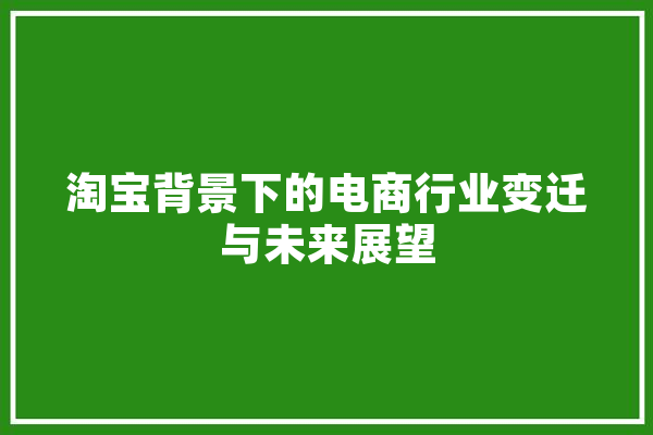 淘宝背景下的电商行业变迁与未来展望 计算机
