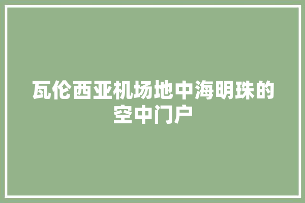 瓦伦西亚机场地中海明珠的空中门户