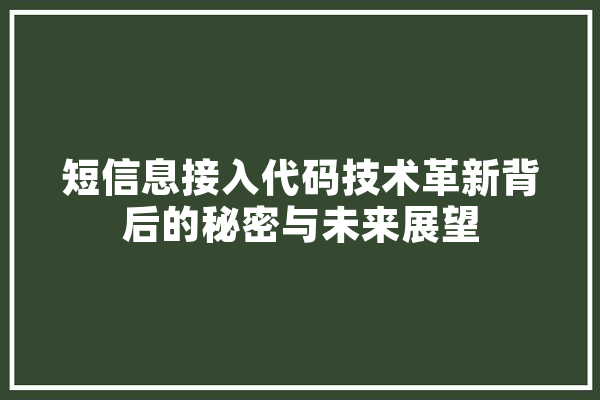 短信息接入代码技术革新背后的秘密与未来展望