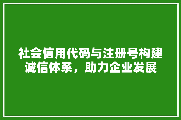 社会信用代码与注册号构建诚信体系，助力企业发展